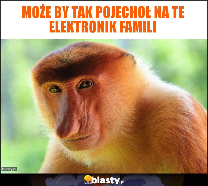 Może by tak pojechoł na te Elektronik Famili Może by tak pojechoł na te Elektronik Famili
