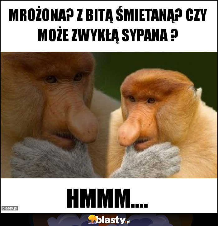 Mrożona? Z bitą śmietaną? Czy może zwykłą sypana ? Mrożona? Z bitą śmietaną? Czy może zwykłą sypana ?