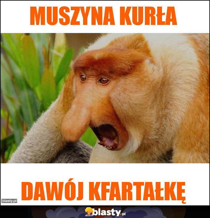 Muszyna Kurła Muszyna Kurła