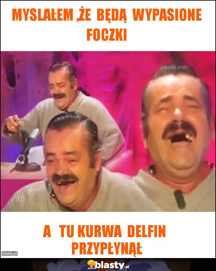 myslałem ,że  będą  wypasione foczki