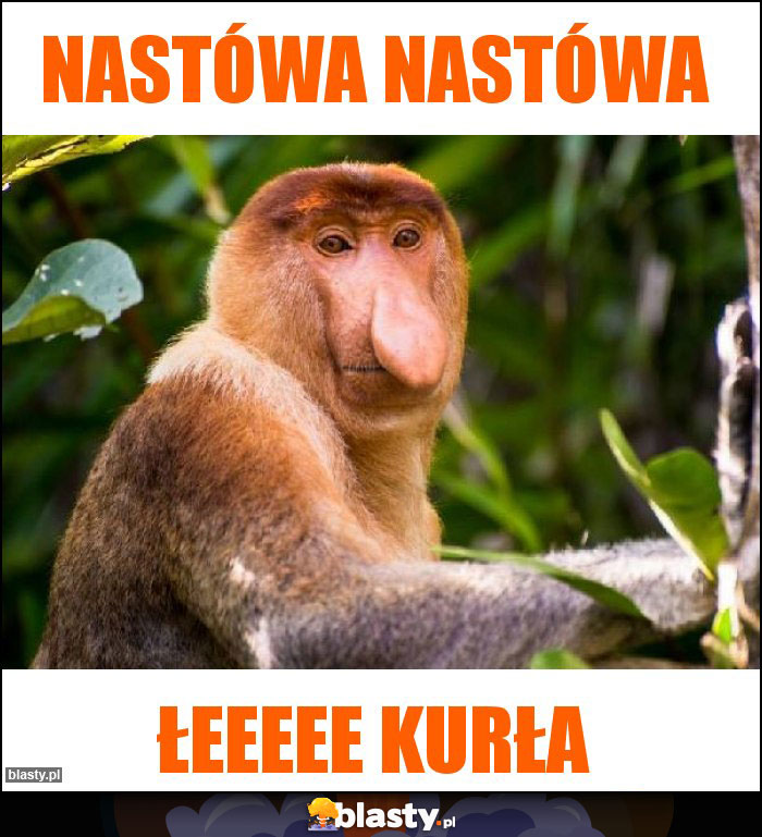Nastówa nastówa Nastówa nastówa