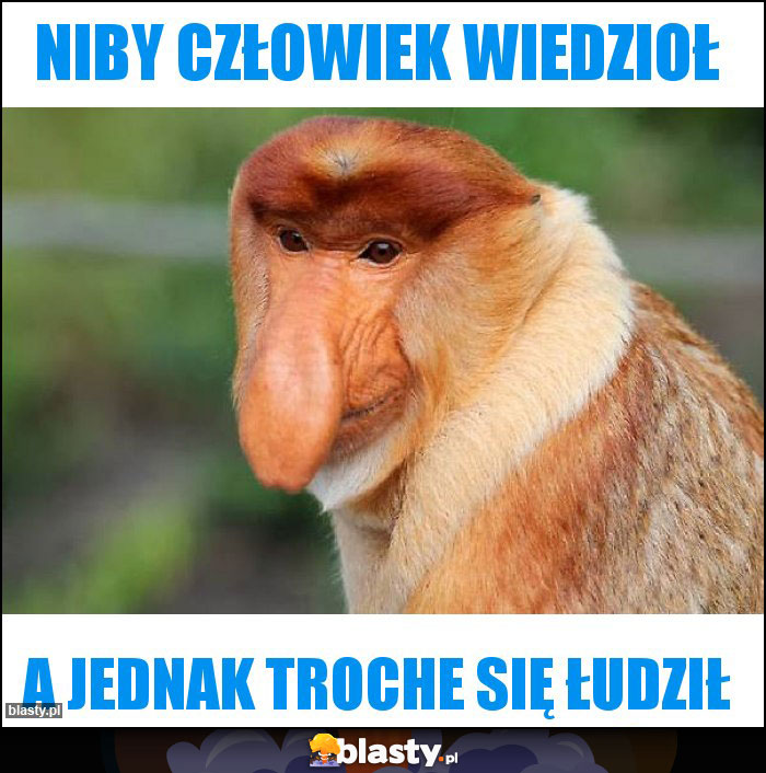 NIBY CZŁOWIEK WIEDZIOŁ NIBY CZŁOWIEK WIEDZIOŁ