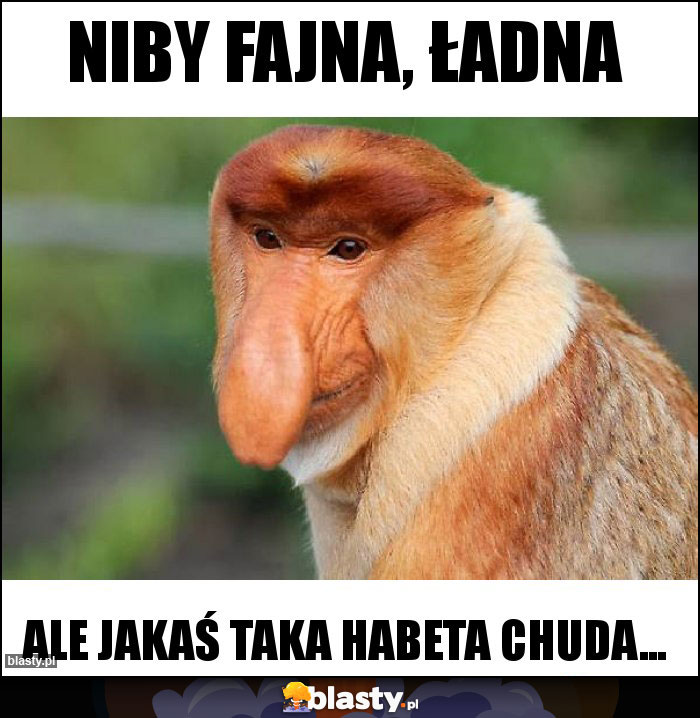 Niby fajna, ładna