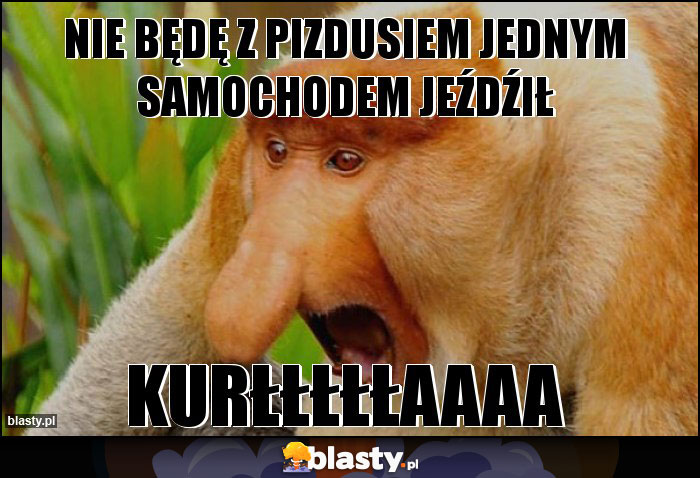 Nie będę z pizdusiem jednym samochodem jeźdźił Nie będę z pizdusiem jednym samochodem jeźdźił