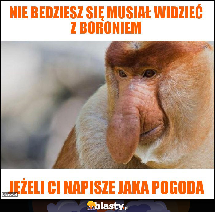 Nie bedziesz się musiał widzieć z boroniem Nie bedziesz się musiał widzieć z boroniem