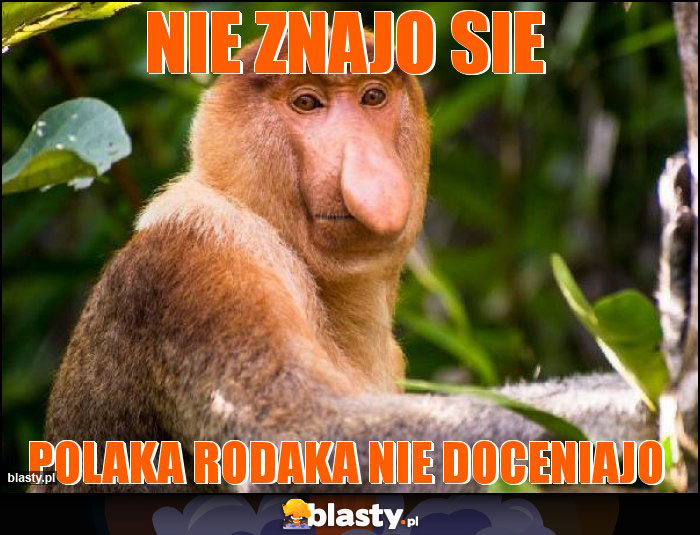 nie znajo sie