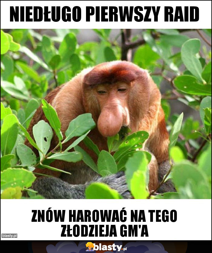 NIEDŁUGO PIERWSZY RAID NIEDŁUGO PIERWSZY RAID
