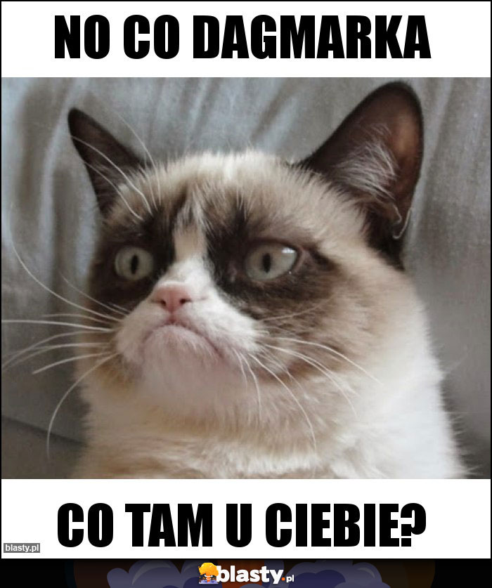 No co dagmarka No co dagmarka