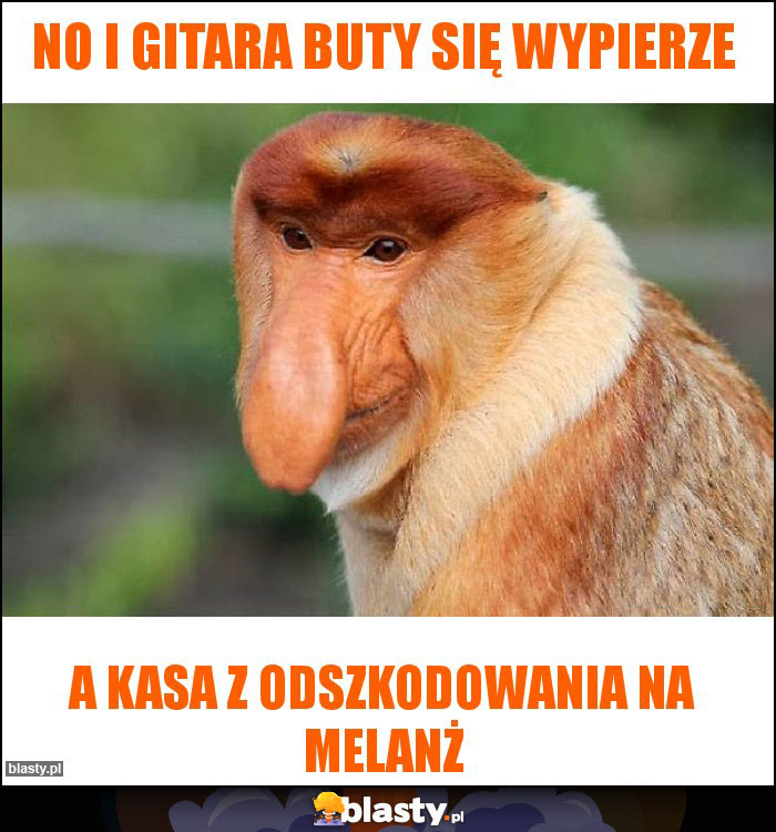 No i gitara buty się wypierze No i gitara buty się wypierze