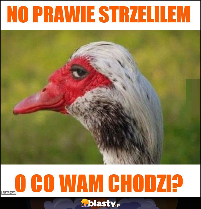 No prawie strzelilem