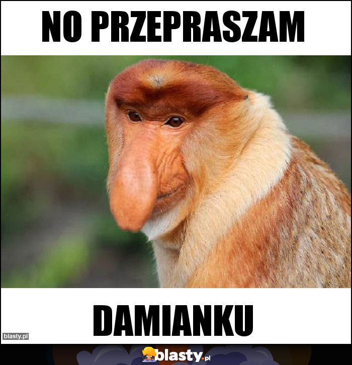 No przepraszam No przepraszam
