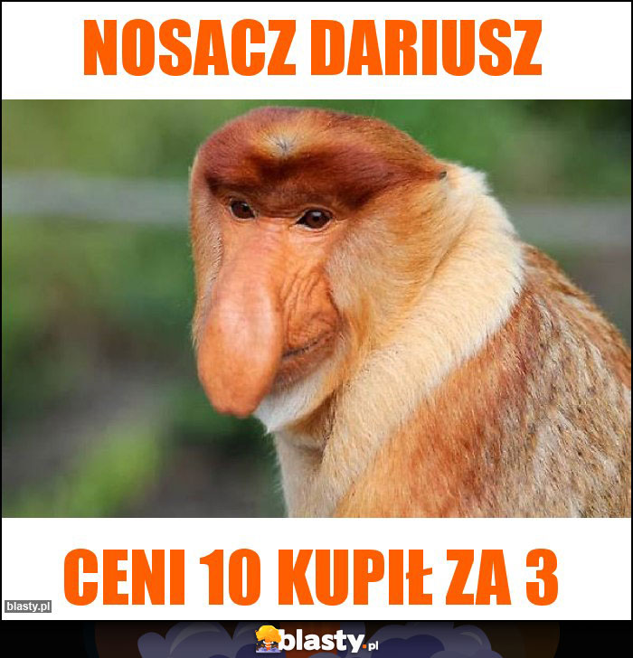 Nosacz Dariusz Nosacz Dariusz