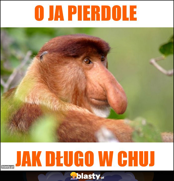 o ja pierdole o ja pierdole