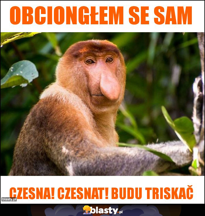 Obciongłem se sam Obciongłem se sam
