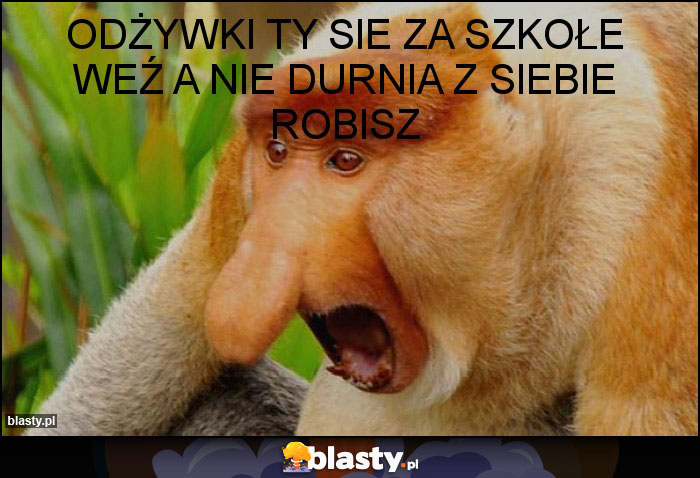 Odżywki ty sie za szkołe weź a nie durnia z siebie robisz Odżywki ty sie za szkołe weź a nie durnia z siebie robisz