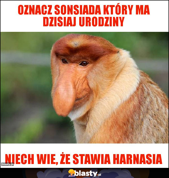 OZNACZ SONSIADA KTÓRY MA DZISIAJ URODZINY OZNACZ SONSIADA KTÓRY MA DZISIAJ URODZINY