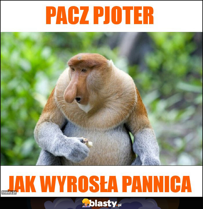 Pacz Pjoter Pacz Pjoter