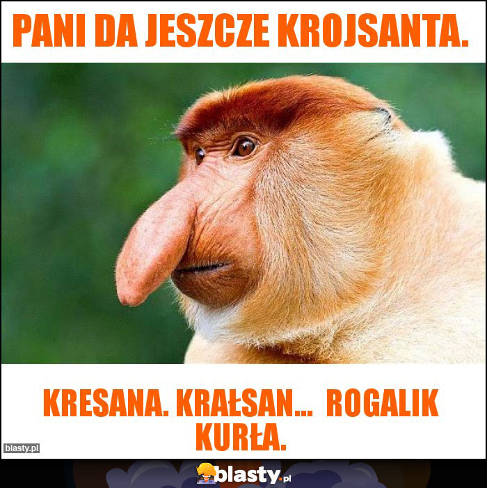Pani da jeszcze krojsanta. Pani da jeszcze krojsanta.
