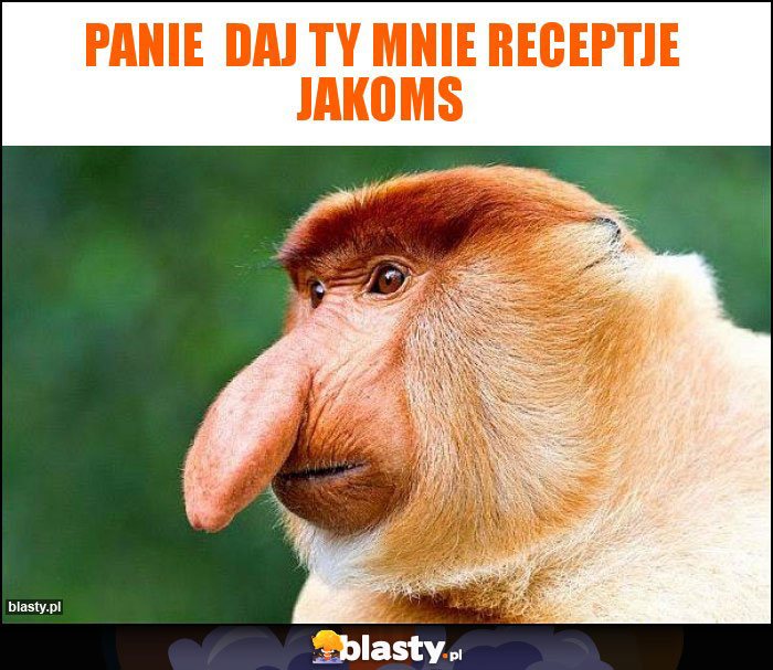 Panie daj ty mnie receptje jakoms Panie daj ty mnie receptje jakoms