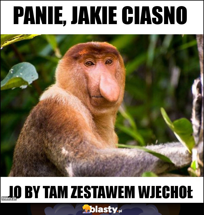 Panie, jakie ciasno Panie, jakie ciasno