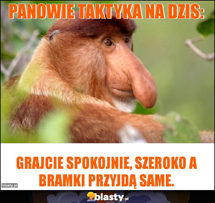 Panowie taktyka na dzis: Panowie taktyka na dzis: