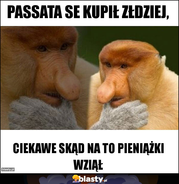 Passata se kupił złdziej, Passata se kupił złdziej,
