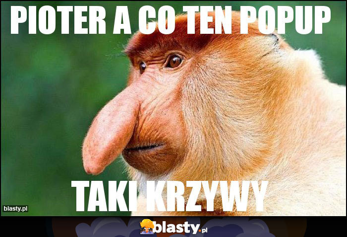 PIOTER A CO TEN popup PIOTER A CO TEN popup