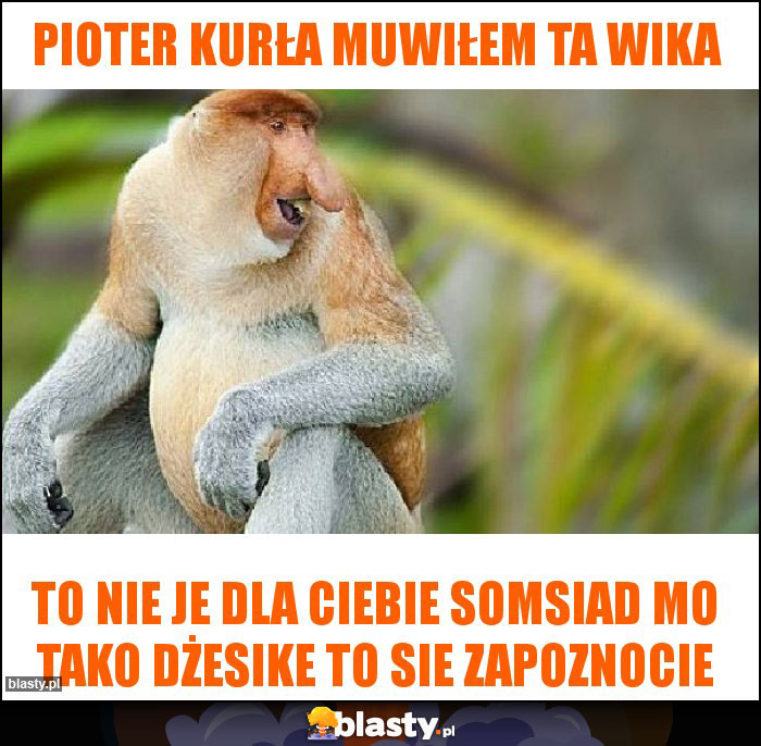 Pioter Kurła Muwiłem ta Wika Pioter Kurła Muwiłem ta Wika