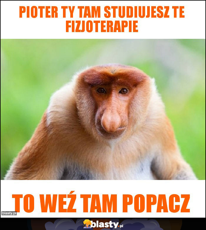 Pioter ty tam studiujesz te fizjoterapie Pioter ty tam studiujesz te fizjoterapie