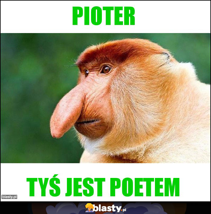 Pioter