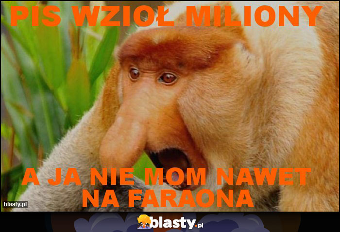 PIS wzioł miliony PIS wzioł miliony