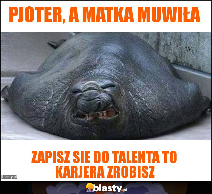 PJOTER, A MATKA MUWIŁA PJOTER, A MATKA MUWIŁA