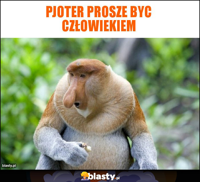 PJOTER prosze BYC człowiekiem PJOTER prosze BYC człowiekiem