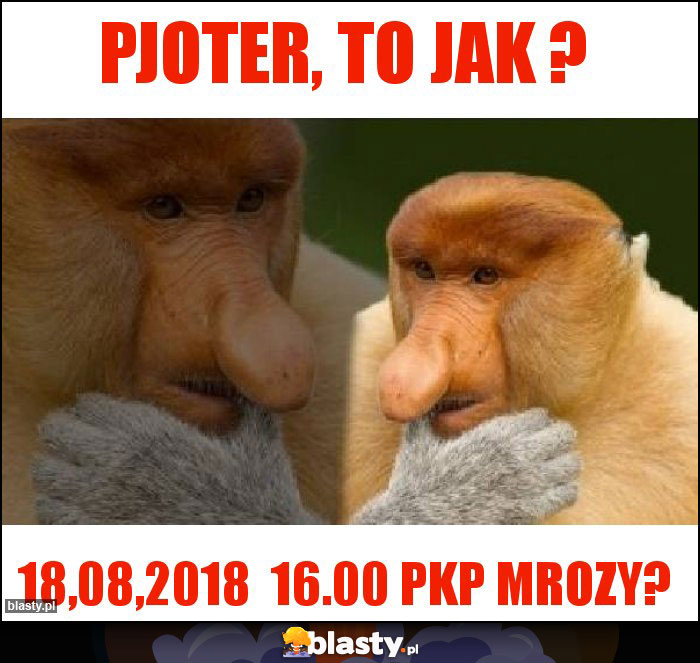 Pjoter, to jak ? Pjoter, to jak ?