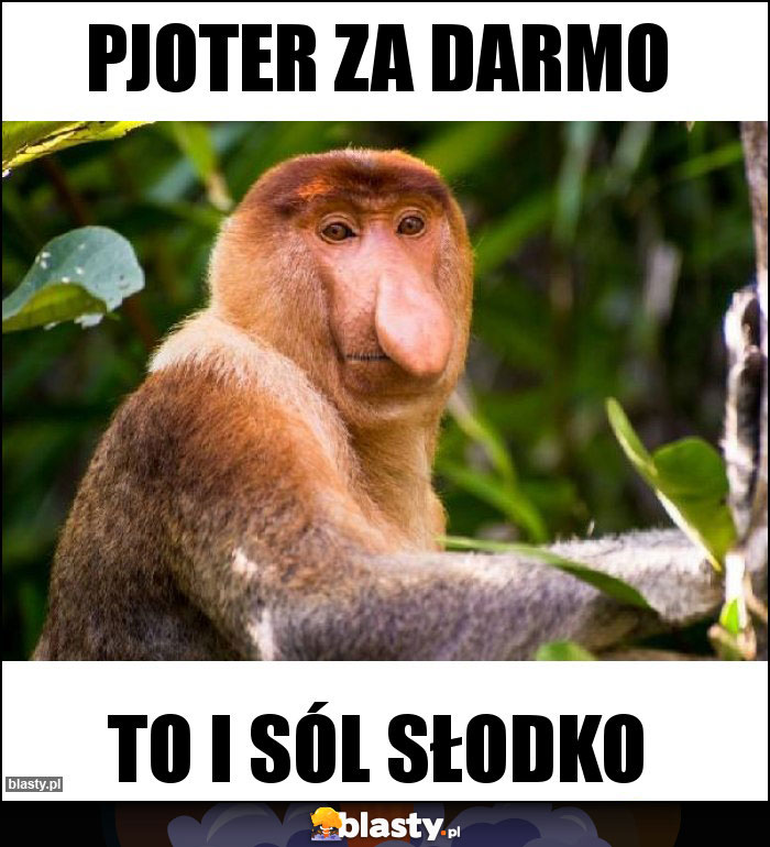 PJOTER ZA DARMO