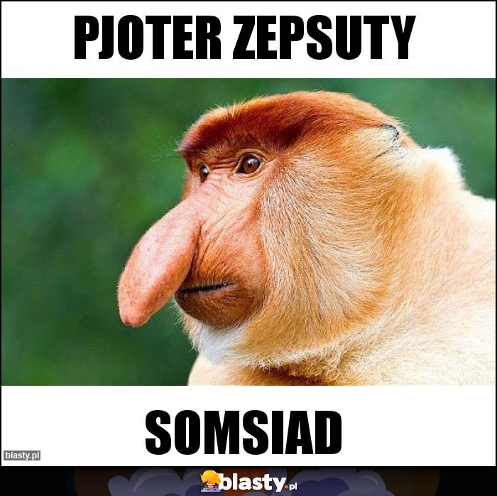 PJOTER ZEPSUTY PJOTER ZEPSUTY