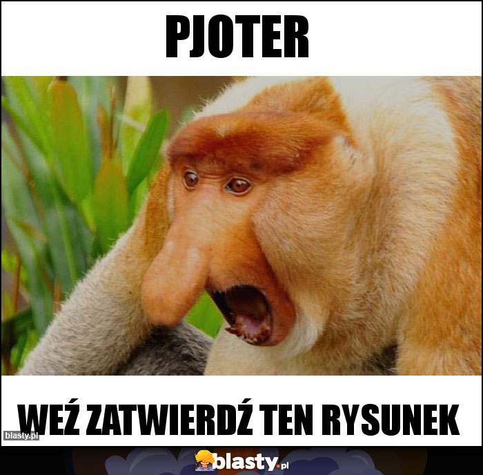 PJOTER