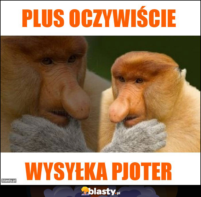 PLUS OCZYWIŚCIE PLUS OCZYWIŚCIE