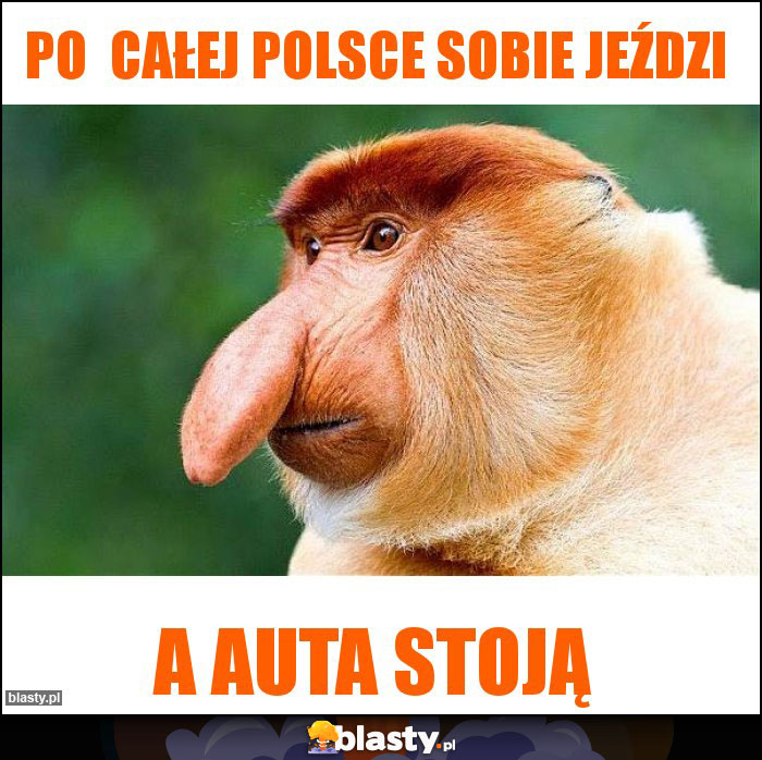 Po całej Polsce sobie jeździ Po całej Polsce sobie jeździ