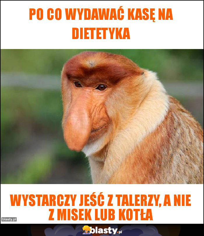 PO CO WYDAWAĆ KASĘ NA DIETETYKA PO CO WYDAWAĆ KASĘ NA DIETETYKA
