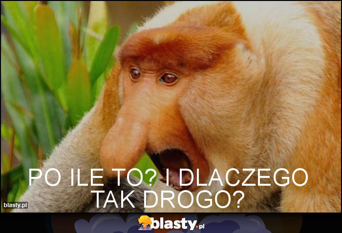 PO ILE TO? I DLACZEGO TAK DROGO? PO ILE TO? I DLACZEGO TAK DROGO?