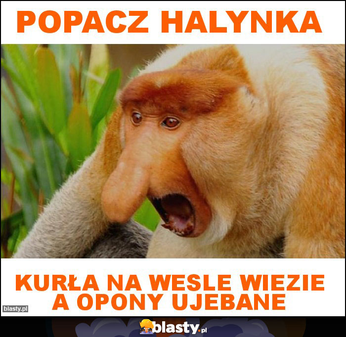 Popacz Halynka Popacz Halynka
