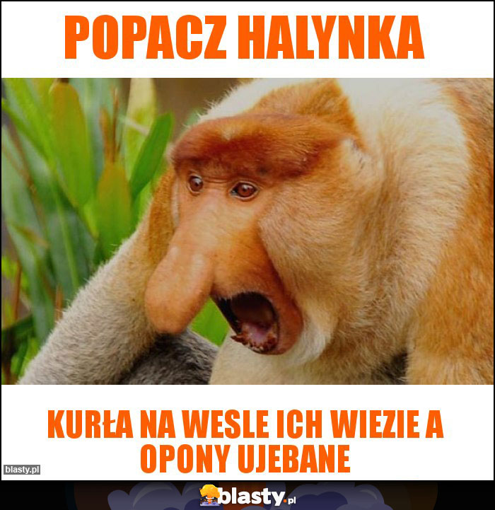 Popacz Halynka Popacz Halynka