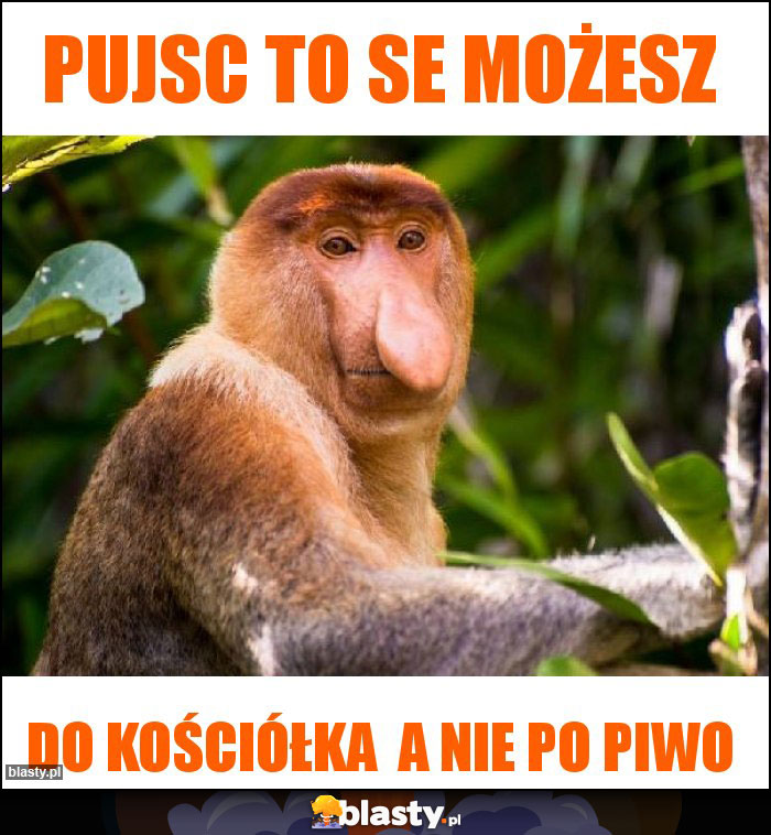Pujsc to se możesz