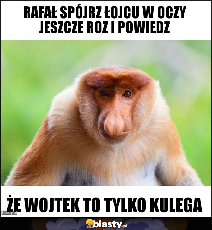 Rafał spójrz łojcu w oczy jeszcze roz i powiedz Rafał spójrz łojcu w oczy jeszcze roz i powiedz