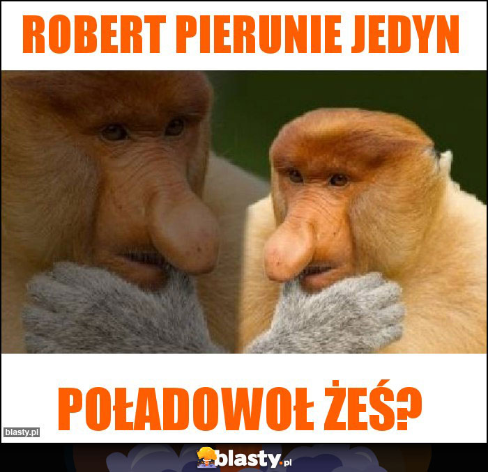 Robert pierunie jedyn Robert pierunie jedyn