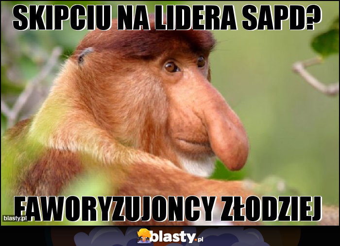 Skipciu na lidera sapd? Skipciu na lidera sapd?