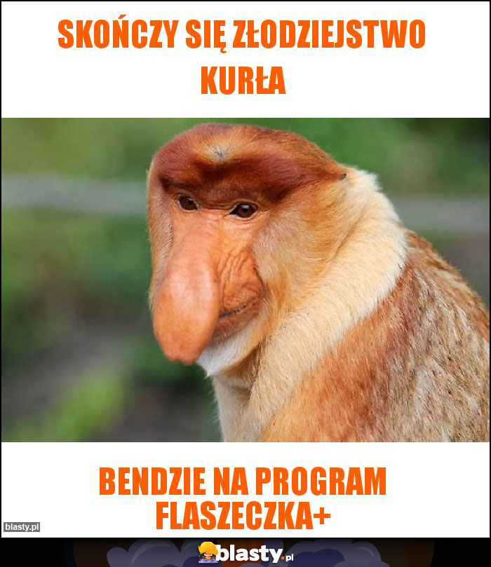 Skończy się złodziejstwo kurła