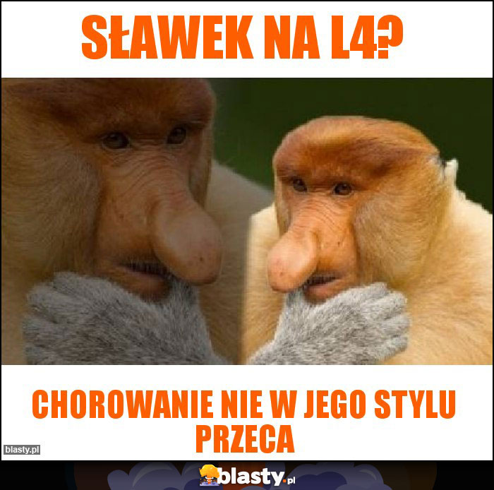 Sławek na l4? Sławek na l4?