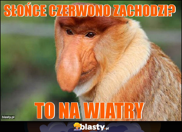 Słońce czerwono zachodzi? Słońce czerwono zachodzi?